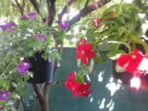Гостиница House Of Esanya  Negombo